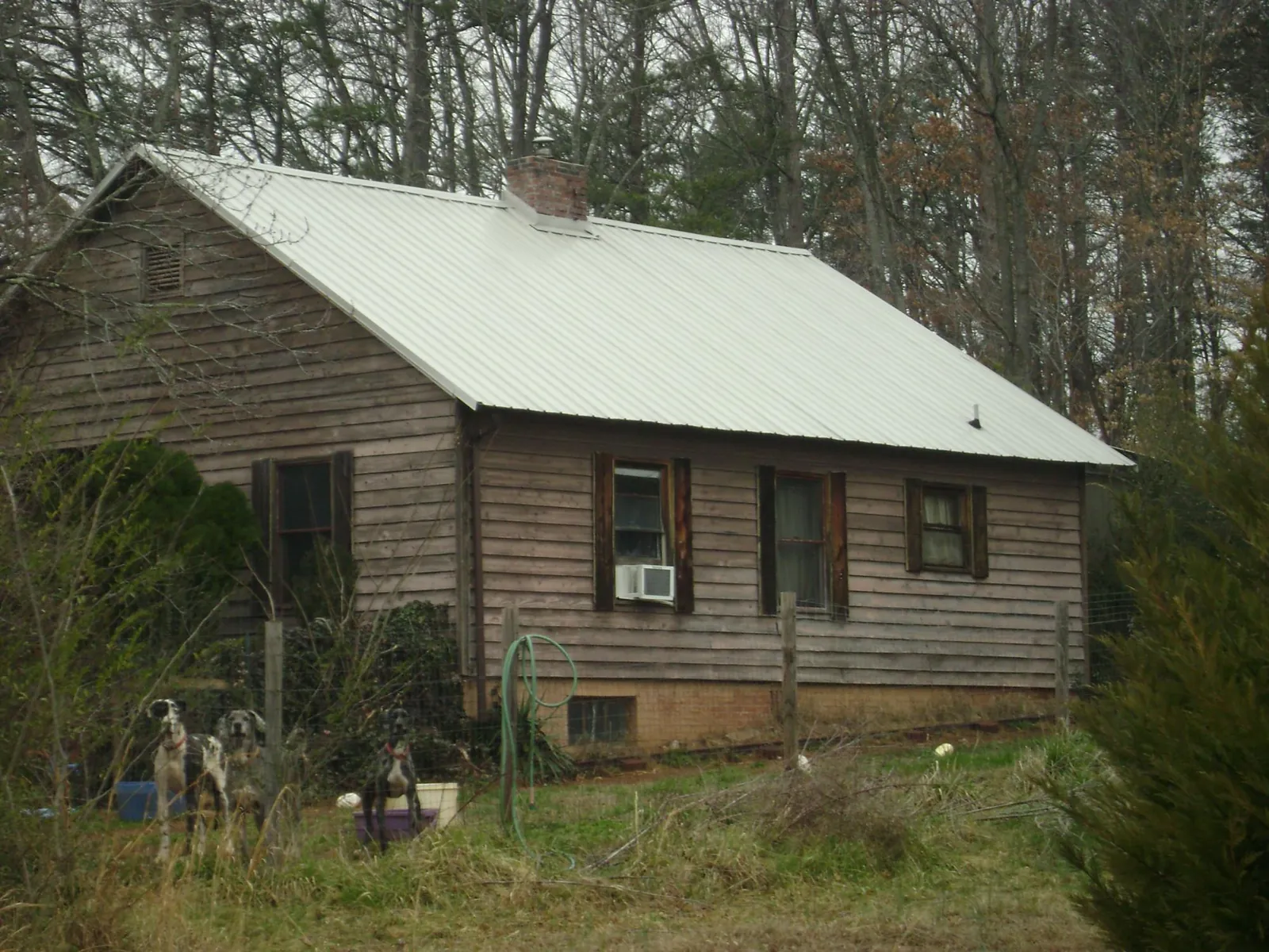 White metal roof on an old wood sided farmhouse, from a Asphalt Shingle Roof Repair job in Levels